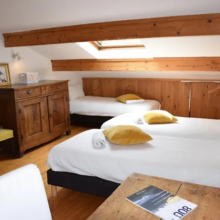 Chalet L Olan 15P Emplacement Exceptionnel Grand Terrain Les Deux Alpes Exterior photo